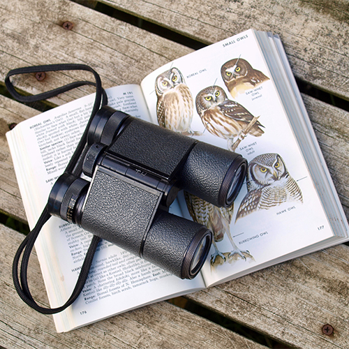 Bird-watching-book