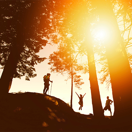 Hikers