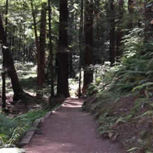 trail-copy