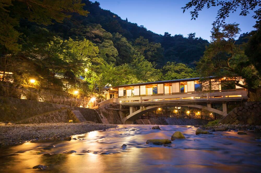 Arima Onsen Hot Spring