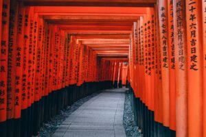 Multiple red inari gates with Japanese text on the sides. Fushimi inari Trail, Kyōto-shi, Japan.