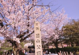 Picture of Maruyama Park with a shrine and cherry blossoms in the background.
