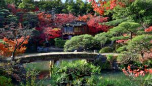 Beautiful landscape image of a fall landscape, river and bridge in the Sorakuen Garden.