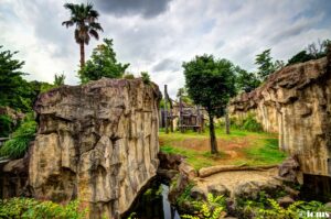 Tropical zoo landscape with rock formations.