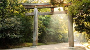 Japanese Torri gate in Yoyogi park.