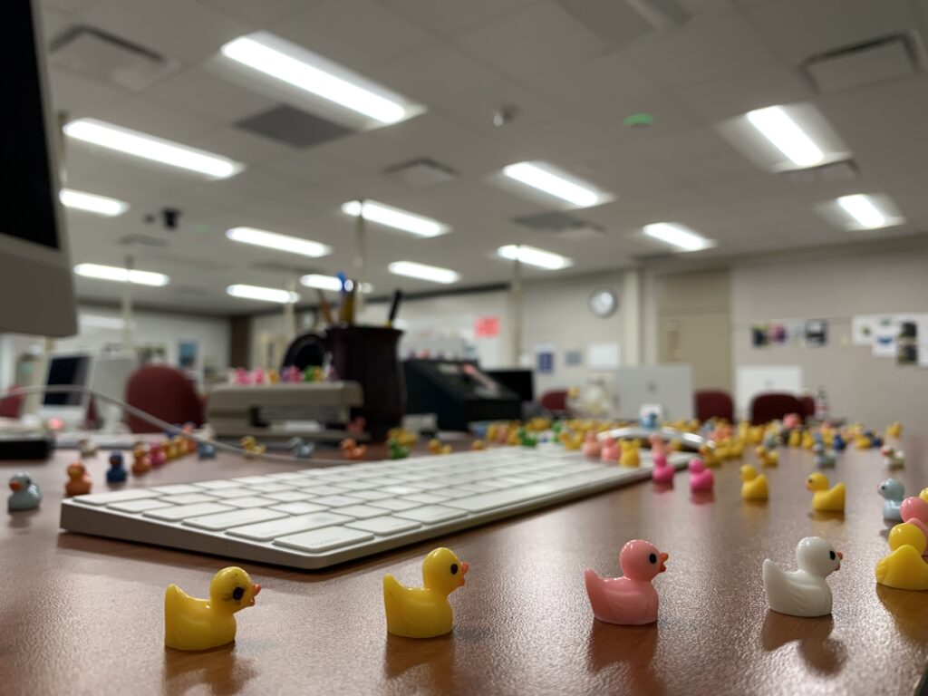 Multitude of tiny plastic ducks on a desk