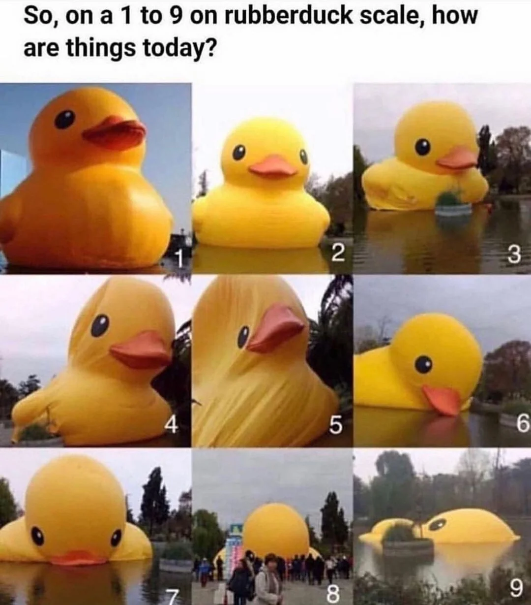 Composite of a giant duck slowly deflating.